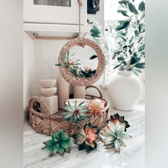 Jungalow lot succulents + terrazzo terracotta hanging circle planter boho home - Picture 8 of 8